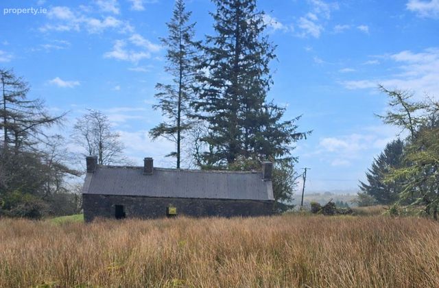 Altiquin, Drumkeeran, Co. Leitrim - Click to view photos