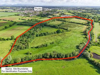 C. 43 Acres, Turtulla / Clongour, Thurles, Co. Tipperary, Thurles, Co. Tipperary - Image 2