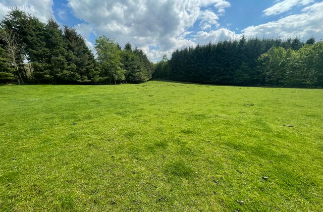 Site Ssp Bohea, Liscarney, Westport, Co Mayo, Liscarney, Co. Mayo - Click to view photos