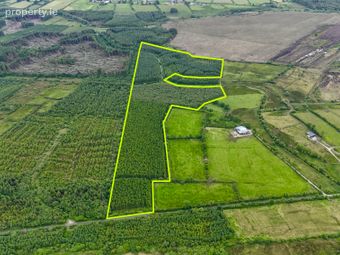 C.31 Acres Of Mature Forestry At Ballyglass East, Loughglynn, Co. Roscommon, Loughglynn, Co. Roscommon