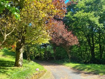 'rockwood', Lisheen Road, Manor Kilbride, Blessington, Oldcourt, Co. Wicklow - Image 4