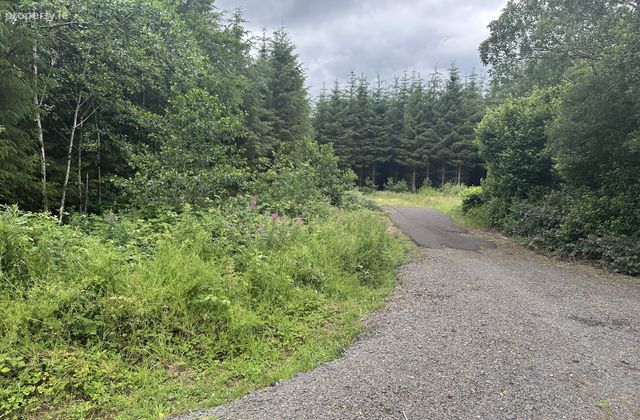 Drumbess, Killeshandra, Co. Cavan - Click to view photos