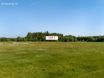 Lot 1, Gallen, Ferbane, Co. Offaly - Image 2