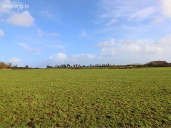 53.62 Acres Coolderry, Ardcroney, Nenagh, Co. Tipperary, Nenagh, Co. Tipperary - Image 3