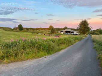 Ballylehane Upper, Wolfhill, Co. Laois - Image 5