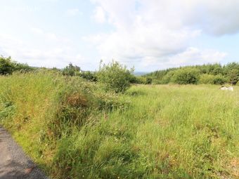 Cooleycasey, Sixmilebridge, Co. Clare - Image 5