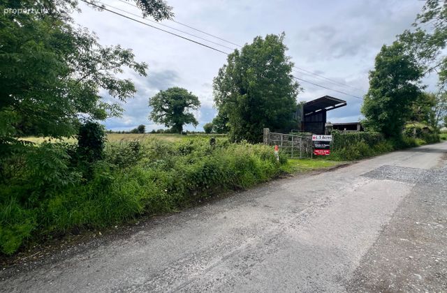 10 Acres, Rooaun, Creagh, Ballinasloe, Co. Galway - Click to view photos