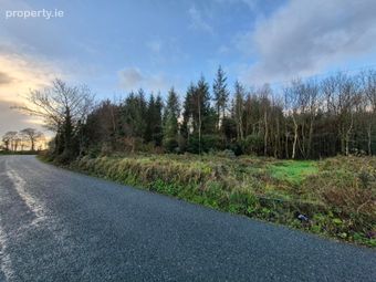 27.13 Acres Of Forestry, Stripe North, Milltown, Tuam, Co. Galway, Dunmore, Co. Galway - Image 2