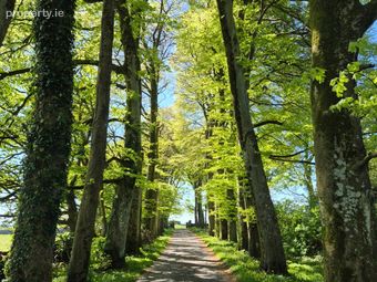 Bermingham House, Bermingham, Tuam, Co. Galway - Image 4