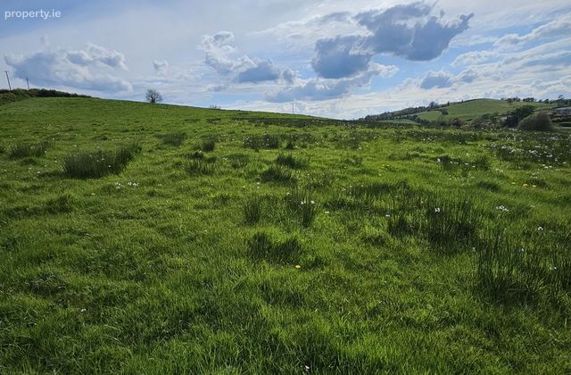 Moylemuck, Lisnalong, Aughnamullen, Co. Monaghan - Click to view photos