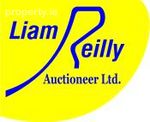 Liam Reilly Auctioneer MIPAV