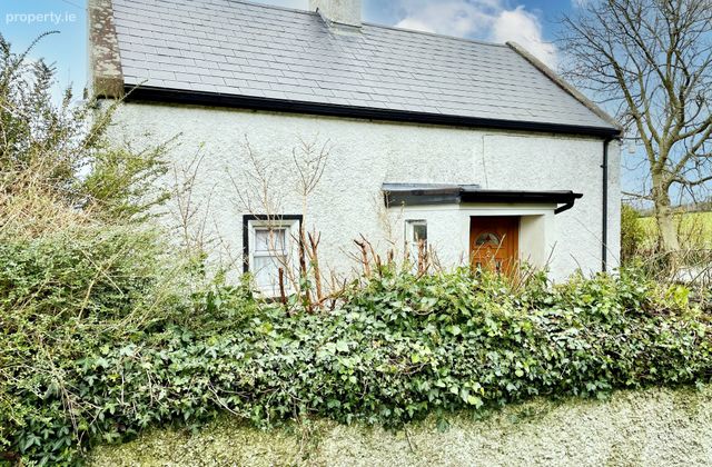 Marley, Graiguenamanagh, Co. Carlow, Graiguenamanagh, Co. Carlow - Click to view photos