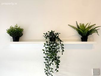 57 Fitzwilliam Square, Dublin 2 - Image 4
