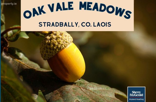 Oak Vale Meadows, Stradbally, Co. Laois - Click to view photos