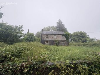 Gortroe, Ballingarry, Co. Limerick, Ballingarry, Co. Limerick - Image 3
