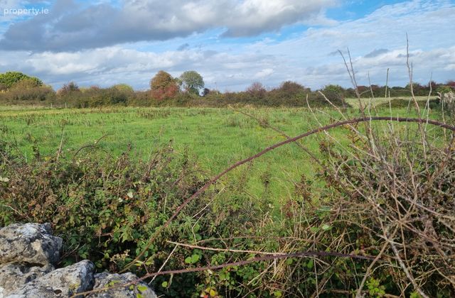 Morenane, Askeaton, Co. Limerick - Click to view photos
