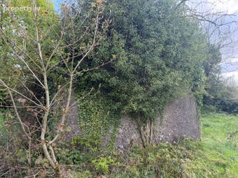 Aughnagarron Granard Co Longford, Granard, Co. Longford - Image 5