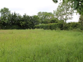 0.75 Acre Site Slyguff, Slyguff, Bagenalstown, Co. Carlow, Bagenalstown, Co. Carlow - Image 2