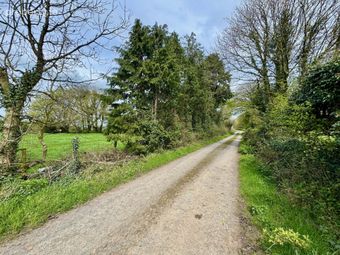 Lackendarra, Anglesboro, Kilmallock, Co. Limerick, Anglesboro, Co. Limerick - Image 4