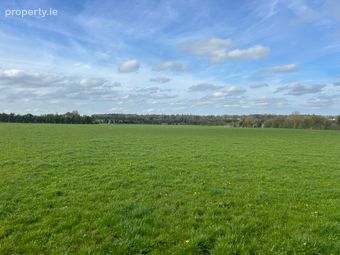 Lot 2: C. 26.93 Acres, Gormanstown, Kilcullen, Co. Kildare, Kilcullen, Co. Kildare - Image 4