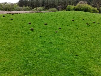 41.6 Acres (approx.) At Grange, New Inn, Ballinasloie, Co. Galway, Kitconnell, Co. Galway - Image 2