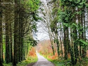 Mote Park, Ballymurray, Co. Roscommon - Image 3