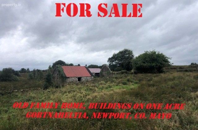 Gortnaheltia, Newport, Co. Mayo, Newport, Co. Mayo - Click to view photos