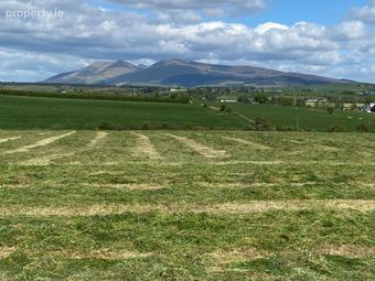Tully 35 Ht67, Glenroe, Co. Limerick - Image 5