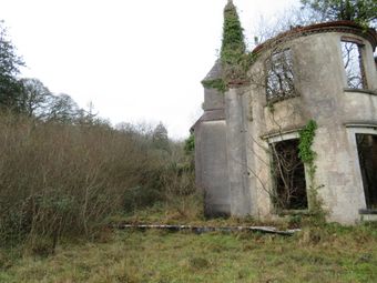 Paradise Lodge, Paradise, Ballynacally, Co. Clare - Image 4