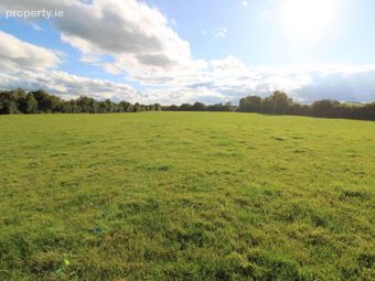 2, Clooninihy, Ballinderry, Nenagh, Co. Tipperary, Nenagh, Co. Tipperary - Image 5