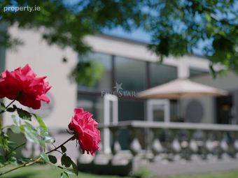 Luxury Coastal Residence &amp; Gardens, Seafield 2, Shankill, Co. Dublin, Shankill, Dublin 18 - Image 5