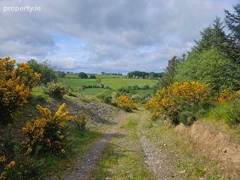 Slieveroe, Ballymore Eustace, Co. Kildare - Image 5