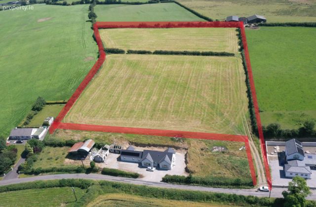 Drumashellig, Ballyroan, Co. Laois - Click to view photos