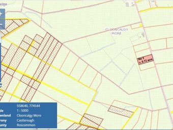 Sites C. 0.72 Acres, Clooncalgy More, Ballinlough, Co. Roscommon, Ballinlough, Co. Roscommon - Image 4