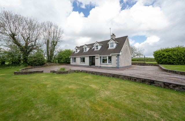 Fuchsia, Coole West, Whites Cross, Co. Cork, White's Cross, Co. Cork - Click to view photos