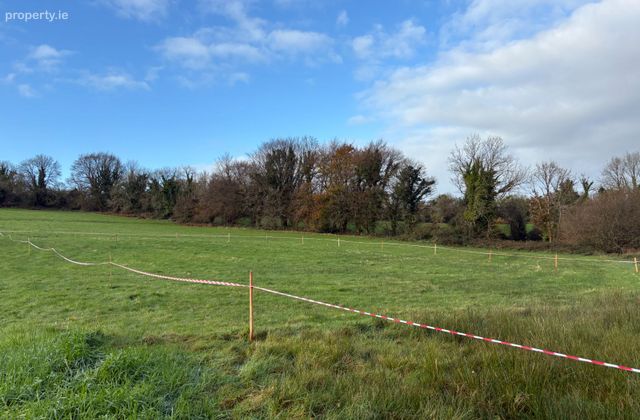 Ballycullen, Sixmilebridge, Co. Clare - Click to view photos