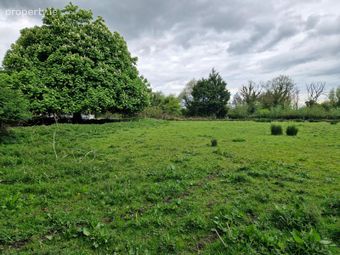 Newgrove, Kilrickle, Loughrea, Co. Galway
