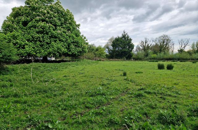 Newgrove, Kilrickle, Loughrea, Co. Galway - Click to view photos