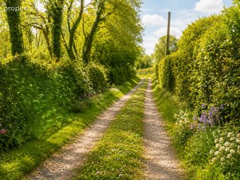 Ballyduggan, Mullinahone, Co. Tipperary - Image 2
