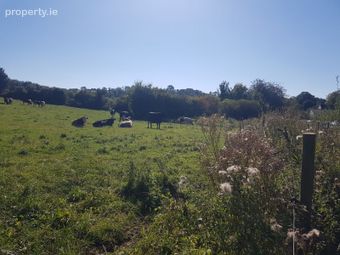 Ark Recycling, The Hamlet, Newtown, Moone, Athy, Co. Kildare, Moone, Co. Kildare - Image 4
