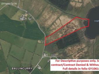 Approx, 4.77 Ha (11, 8 Acres), Ballincurry, Glenamaddy, Glinsk, Co. Galway, Glinsk, Co. Galway - Image 4