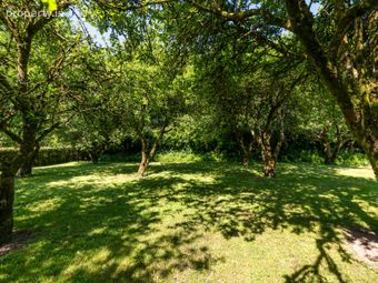 Castlegar East, Ahascragh, Ballinasloe, Co. Galway, Ahascragh, Co. Galway - Image 4
