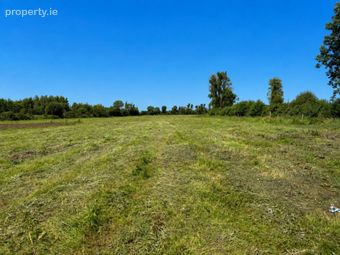 Abbeyland, Castledermot, Co. Kildare, Castledermot, Co. Kildare - Image 2