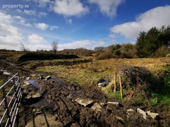 Cuildoo, Killasser, Swinford, Co. Mayo, Swinford, Co. Mayo - Image 4