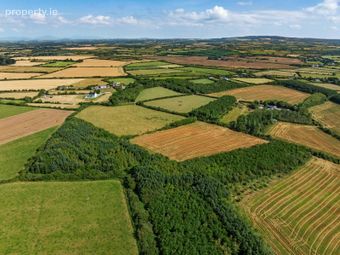 C. 8.78 Hectares (21.70 Acres) At Nicharee, Duncormick, Co. Wexford - Image 4