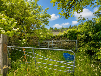 Cloongullane, Swinford, Co. Mayo, Swinford, Co. Mayo - Image 4