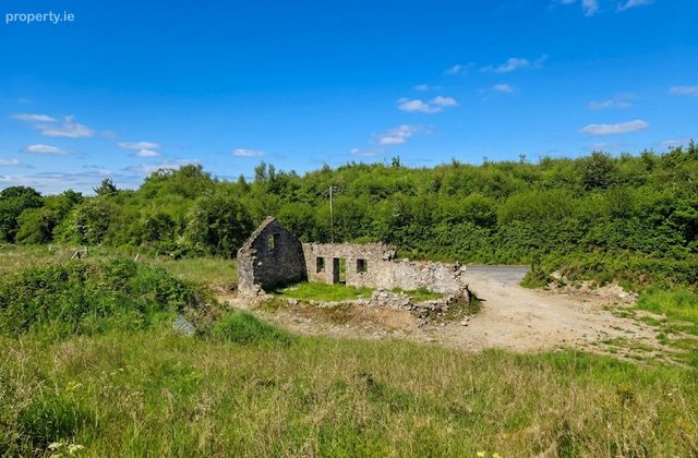 Moymore, Ruan, Ennis, Co. Clare, Ruan, Co. Clare - Click to view photos