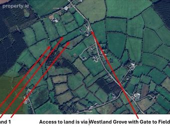Gardamus (westland Grove), Mayglass, Co. Wexford