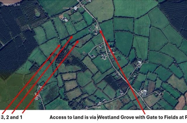 Gardamus (westland Grove), Mayglass, Co. Wexford - Click to view photos
