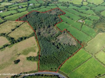 Corracarrow, Ballyjamesduff, Co. Cavan, Ballyjamesduff, Co. Cavan